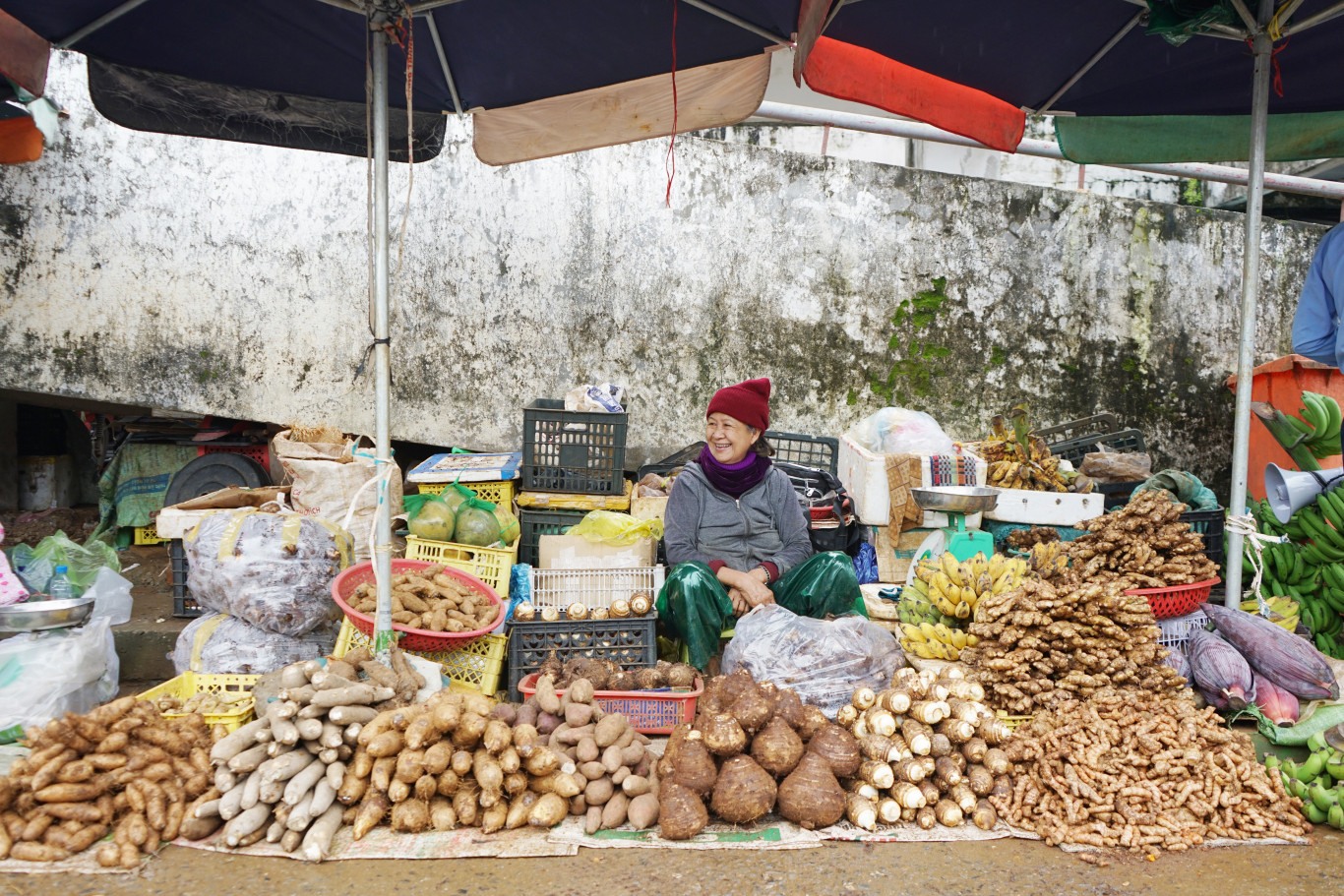 Bất kỳ ng&ocirc;i chợ n&agrave;o ở Quảng Trị cũng b&aacute;n sắn